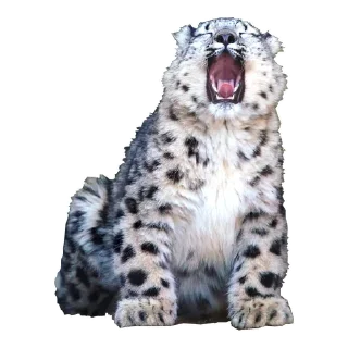 BarsFukuBaby