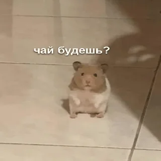 ☕