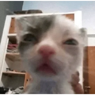 👹