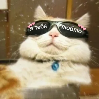 😎