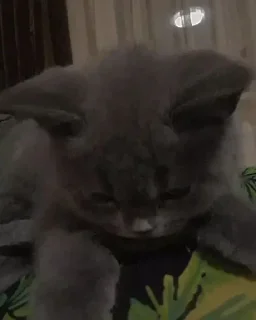 😪