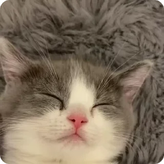 😴