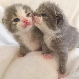 🤗