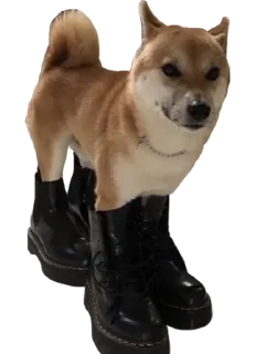 👢