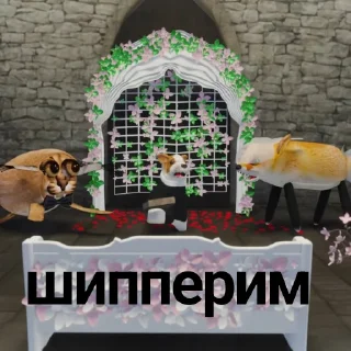 📦