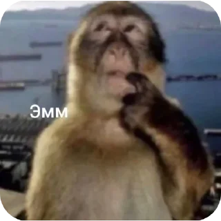 🤩