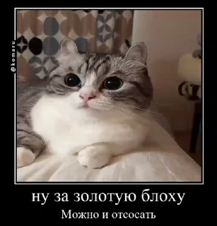 ☺️