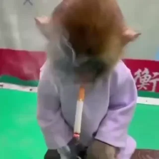🌬