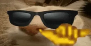😎