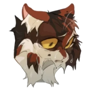 🐱
