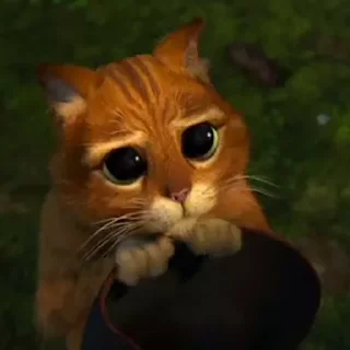 🥺