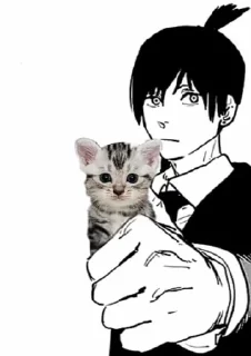 😼
