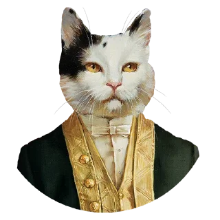 😼