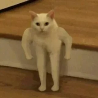 💪