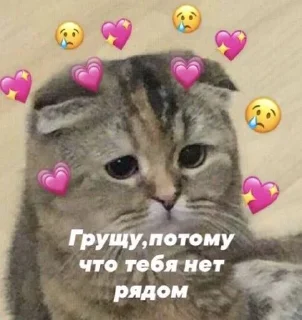 😢