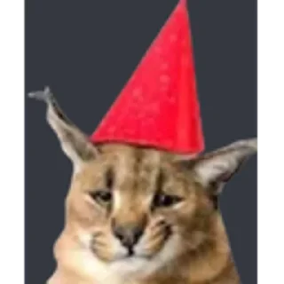🥳