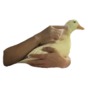 👐