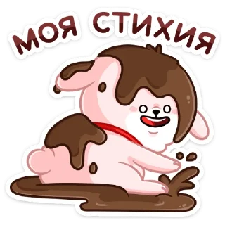 🐷