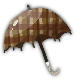 ☔️