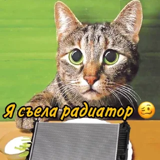 🥴