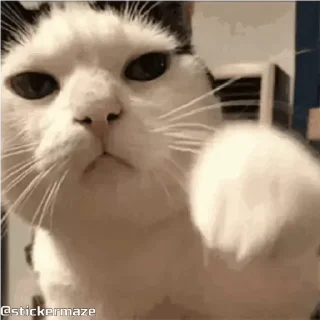👊