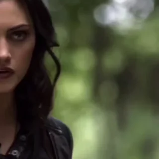 🐺