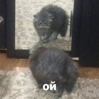😳
