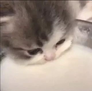 🍼