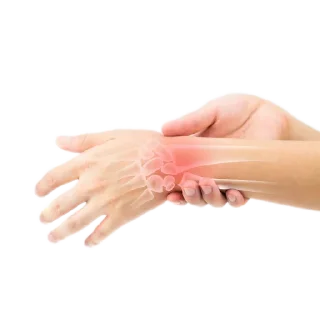 ✋