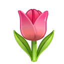 🌷