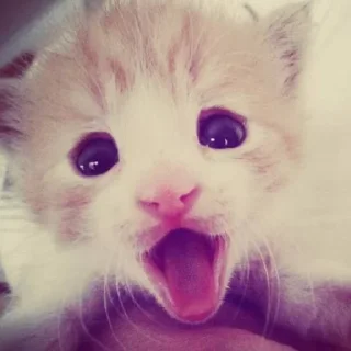 😝