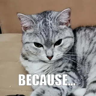 🥴
