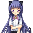 🐱