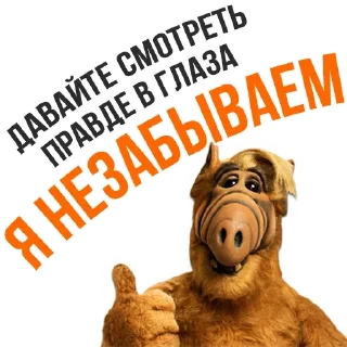 😎