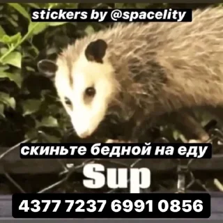 💸