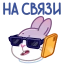 😎