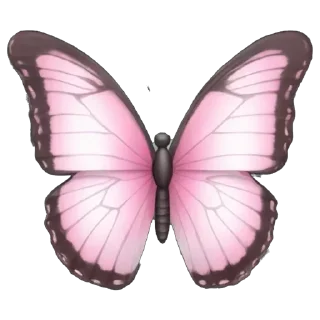 🦋