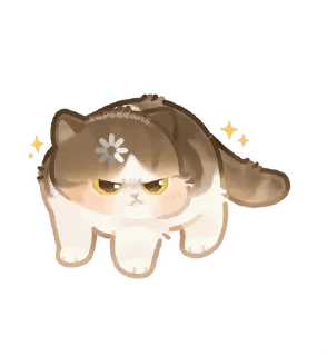 🌟
