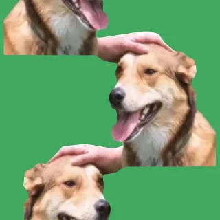 🟩