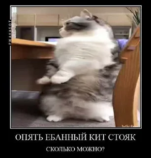 😕