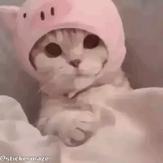 😋