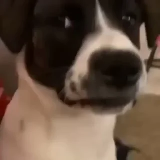 🤨