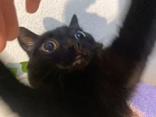 😈