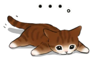 🐱