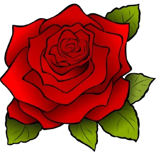 Roses ਗ਼ੁਲਾਬ @PunjabiSticker