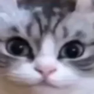 😶