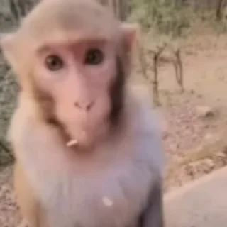 😶
