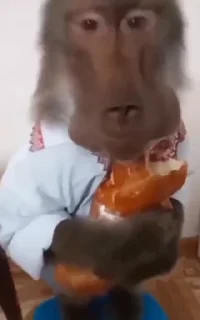 🤩