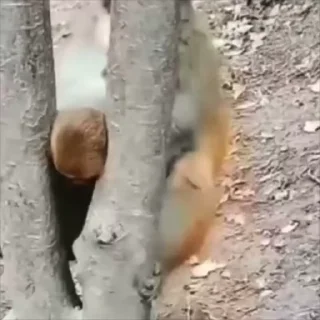 😵