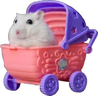 🚗